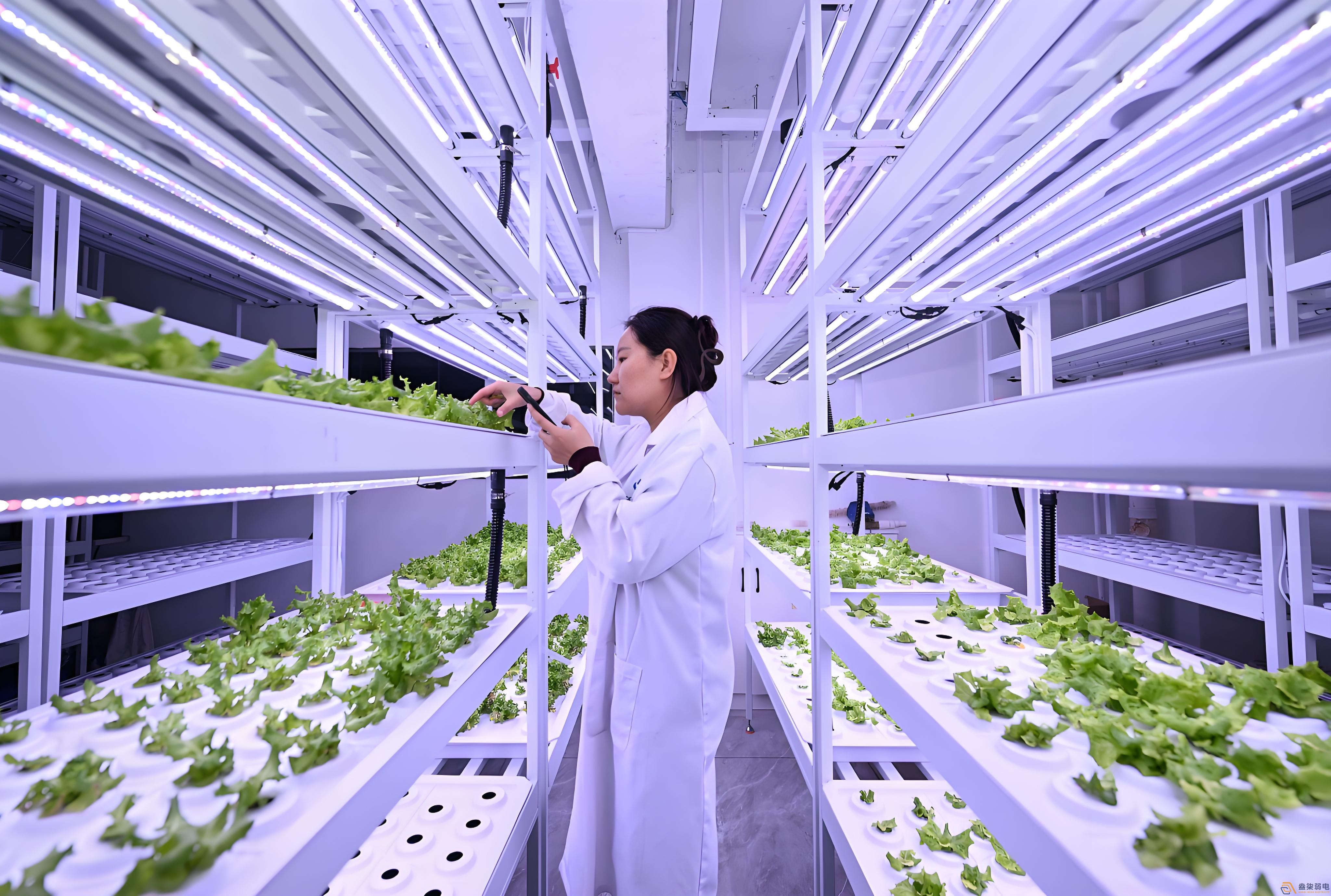 作物生長全周期監測解決方案