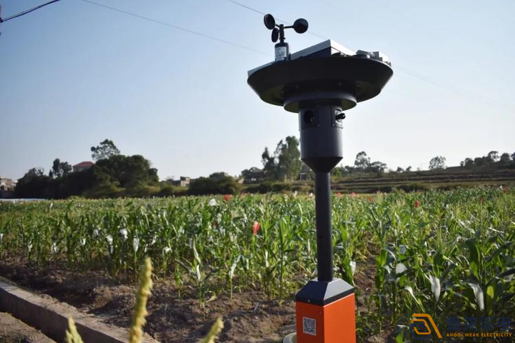 成都弱電公司—智能蟲情測(cè)報(bào)系統(tǒng)，保障植株安全