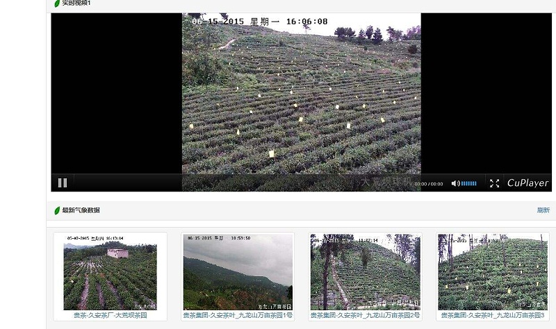 安裝養殖場監控系統，智能調控運營成本